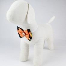 Borboleta pra Cachorro 